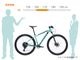 �����ò��߸˸��� �ޥ���ƥ�Х��� �ӥ��� BIANCHI MAGMA 9.1 38cm�ʿ�Ĺ160-170cm�� �����ꥢ�֥��� ���ޥ� SHIMANO DEORE ����ݡ��ͥ�� �����ڥ󥷥�� �̶��̳� �� ���ե����� 