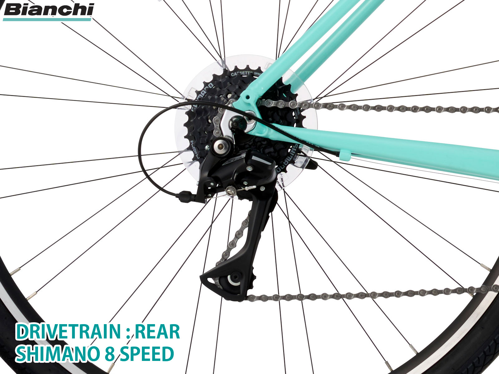 C-SPORT 1 2025ǯ��ǥ� �ӥ��� �������Х��� ����ߥե졼�� �����쥹�� 430mm 470mm 510mm 550mm BIANCHI �����ꥢ�֥��� �̶� �̳� ��ư ������������