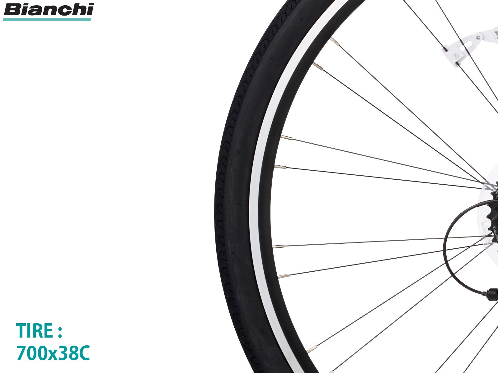C-SPORT 1 2025ǯ��ǥ� �ӥ��� �������Х��� ����ߥե졼�� �����쥹�� 430mm 470mm 510mm 550mm BIANCHI �����ꥢ�֥��� �̶� �̳� ��ư ������������