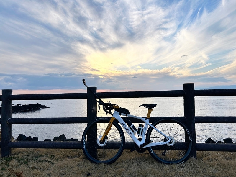 AVEDIO��CHARIS R DISC Aya's model��400����WHITE/UKON���ե륫���ܥ�ե졼�ॻ�å� Di2�侩�ե졼��