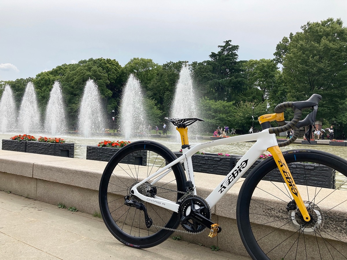 AVEDIO��CHARIS R DISC Aya's model��400����WHITE/UKON���ե륫���ܥ�ե졼�ॻ�å� Di2�侩�ե졼��