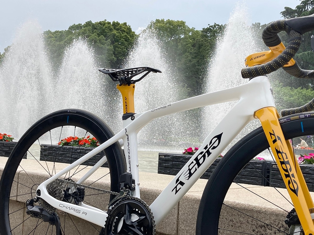 AVEDIO��CHARIS R DISC Aya's model��400����WHITE/UKON���ե륫���ܥ�ե졼�ॻ�å� Di2�侩�ե졼��