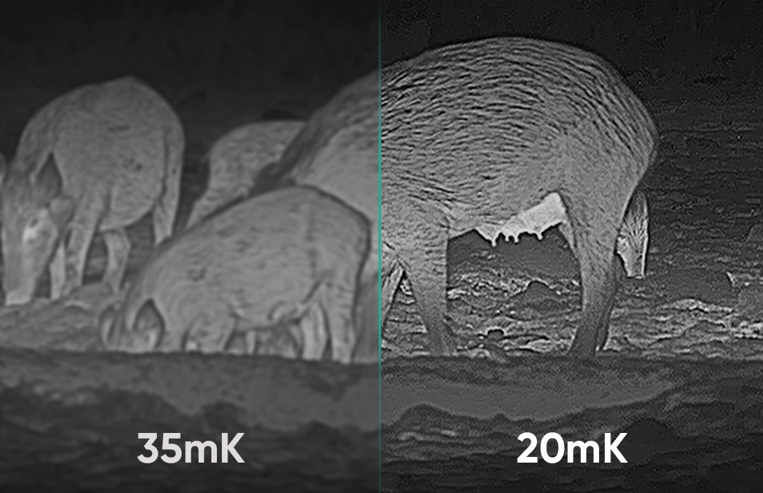 HIKMIKRO FALCON FQ35 �ϥ����ޥ����� �Ż륫��� �����ޥ�Ż�ñ��� �ڥ����ȥ��󥸥�ѥ�� �����ȥɥ� ������ �ѻ� ��¬ ����