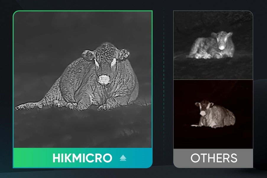 HIKMIKRO FALCON FQ50 �ϥ����ޥ����� �Ż륫��� �����ޥ�Ż�ñ��� �ڥ����ȥ��󥸥�ѥ�� �����ȥɥ� ������ �ѻ� ��¬ ����