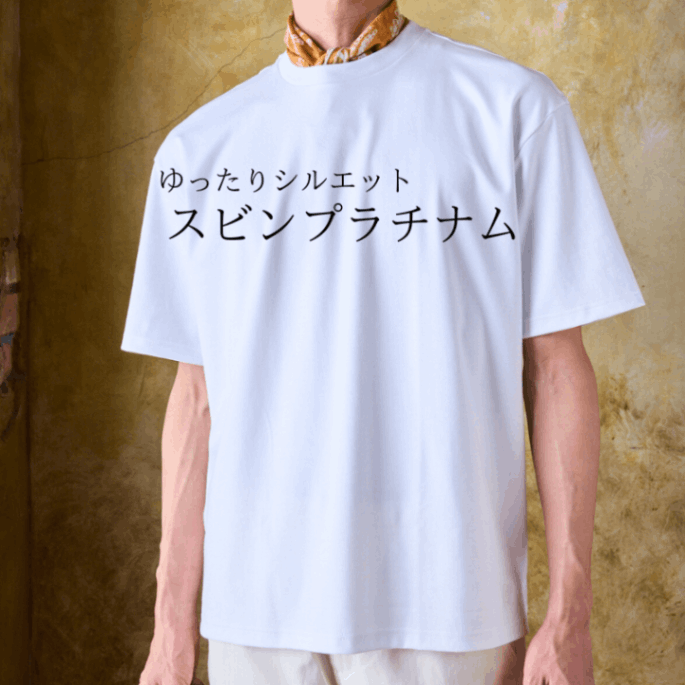 01-50361ϡڥ磻ɥ륨åȣԡۥӥץʥॹࡼ ܡɥեå Ⱦµå롼ͥå