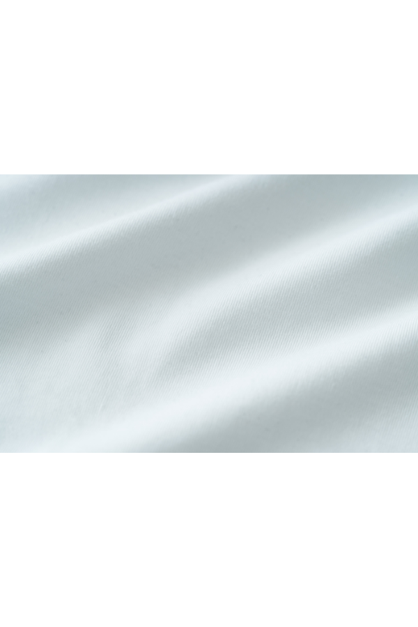 01-50378ϡڥ奢Tġۥӥץʥॹࡼ 쥮顼եå Ⱦµå롼ͥå