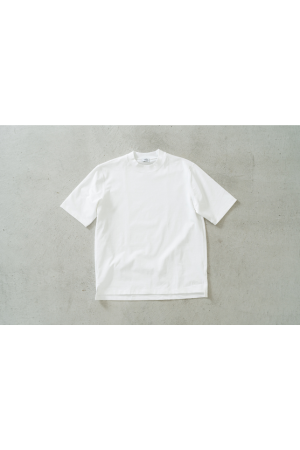 [01-50385]ͤΥɥ쥹ԥġۥӥ󥳥åȥŷ쥮顼եå Ⱦµååͥå