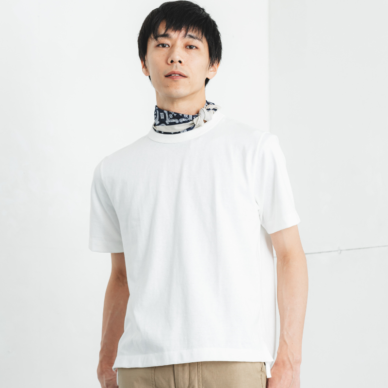 [01-50439]3ܿ˥ƥåTߤԤŷ 쥮顼եå Ⱦµ 롼ͥå