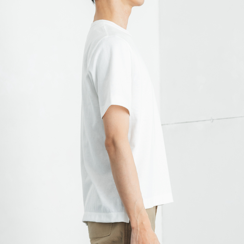 [01-50439]3ܿ˥ƥåTߤԤŷ 쥮顼եå Ⱦµ 롼ͥå