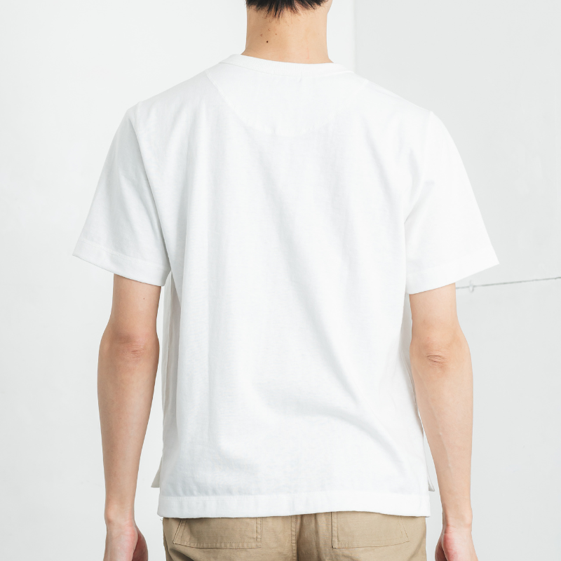 [01-50439]3ܿ˥ƥåTߤԤŷ 쥮顼եå Ⱦµ 롼ͥå