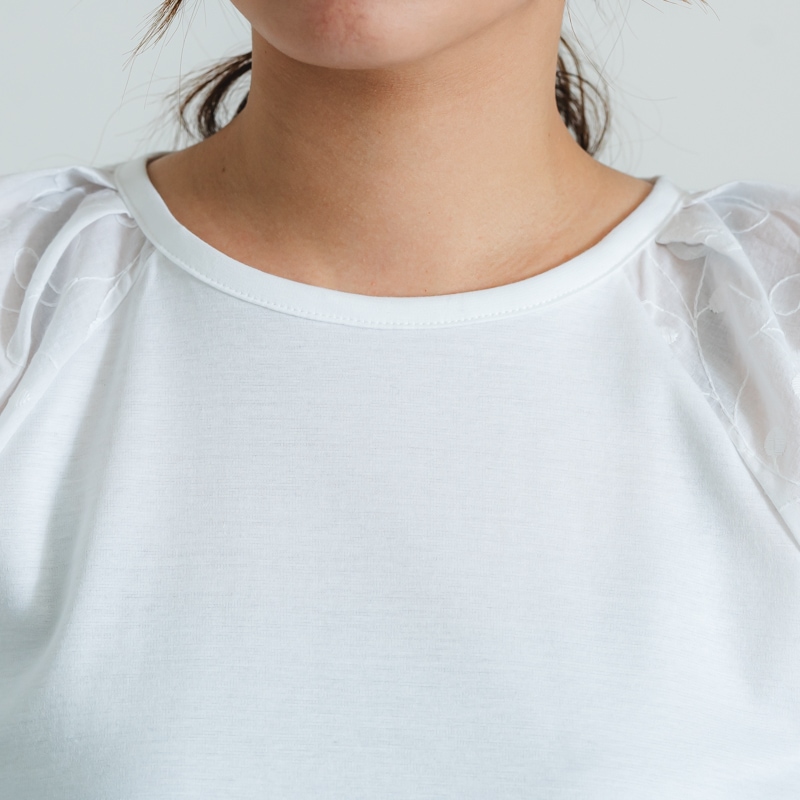 ��01-61465-A�ϡڥڥ����꡼�졼���ѥե��꡼��T�ۥϥ����������ࡼ�� Ⱦµ�å��롼�ͥå�