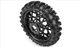 �߸�¨Ǽ  LOSI�������ʡ� LOSI-1/4 PROMOTO-MX�ѥꥢ������ڥ�����1�ܡ�1/4 Dunlop Geomax MX14 V2 Bead CR4 Rear Tire MTD Black Bullyspoke: MX������ PRO1024710