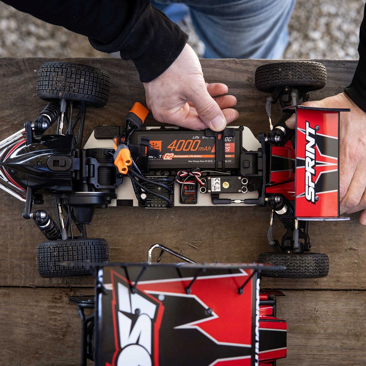 �ں߸�¨Ǽ�ۿ���ȯ�䡡LOSI��1/10 22S Sprint 2WD Brushless RTR (Battery & Charger Included), Red����1/10 22S ���ץ��� 2WD �֥饷�쥹 RTR (�Хåƥ꡼�Ƚ��Ŵ���°)����åɡ����֡� LOS-2359