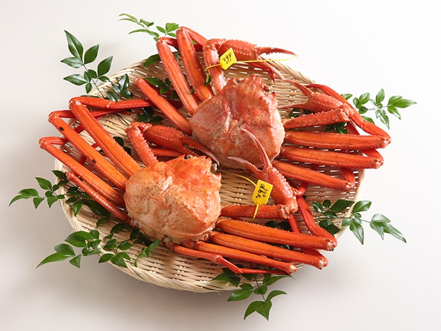 【兵庫】香住ガニ約600g×2尾(タグ付　香住漁港水揚げ　茹で丸ガニ)