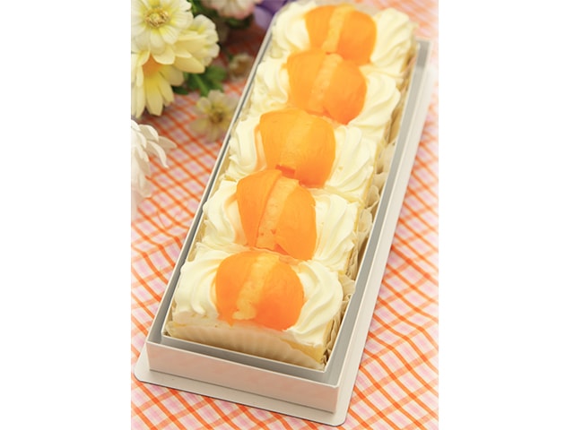 シースクリーム　5個