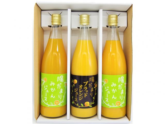 三ヶ日みかんジュース ×2本+ブラッドオレンジジュース1本セット