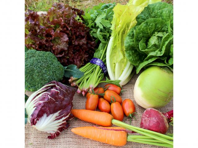 厳選!季節のごちそう野菜セット(約1.5～1.8kg※季節により変動あり)