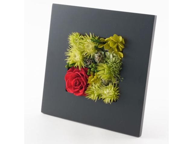 プリザーブドフラワー　プレート型