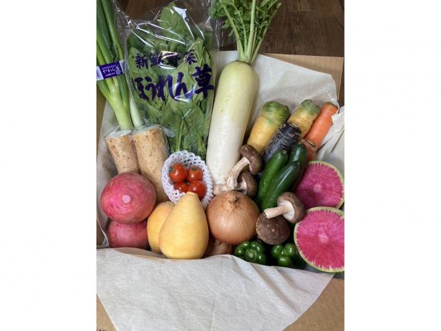 岩手県産季節の野菜セットB