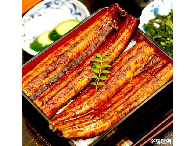 道の駅かわうその里すさき限定 道の駅料理長こだわりの逸品 高知県産うなぎ蒲焼き 3尾セット(220g×3)