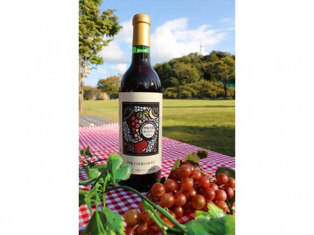 道の駅丹後王国「食のみやこ」オリジナル 国産ぶどう100%使用 赤ワイン(辛口)