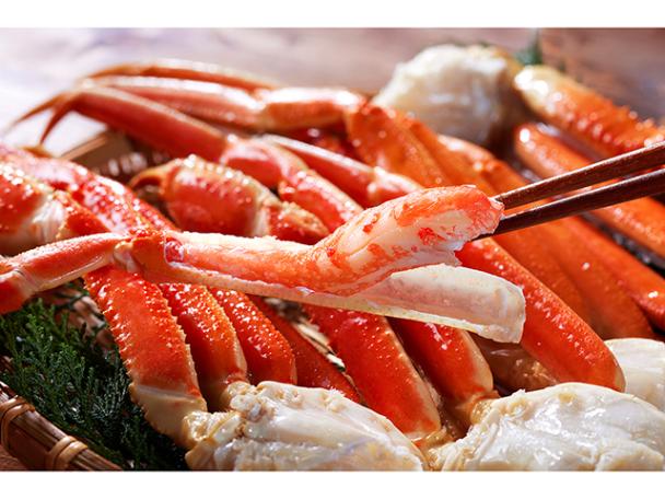 食べ応え抜群!大型ズワイガニ 足 1kg(3肩～5肩)