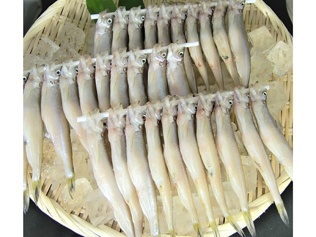 【 北海道産 】ししゃも オス 30尾入り