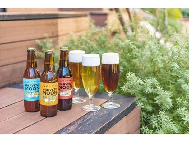 舞浜地ビール工房 ハーヴェスト・ムーン 定番5銘柄飲み比べ12本セット