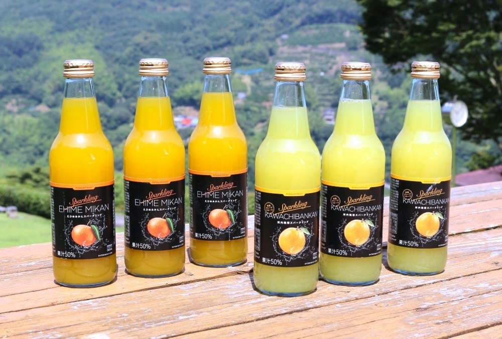 柑橘スパークリング6本セット　(みかんx3・河内晩柑x3)