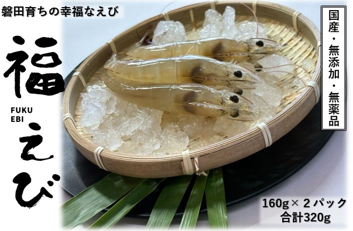 希少！陸上養殖【静岡県産】国産 冷凍「福えび」160g×2袋(計320g)活〆