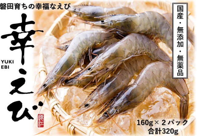 希少!陸上養殖【静岡県産】国産 冷凍「幸えび」160g×2袋(合計320g) 活〆