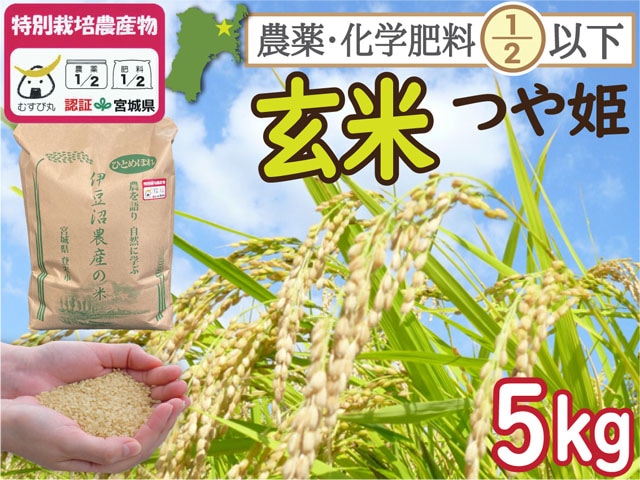 特別栽培米 つや姫 玄米5kg 宮城県登米市産 一等米  農薬・化学肥料節減【令和7年産】