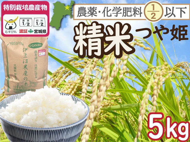 特別栽培米 つや姫 白米5kg 宮城県登米市産 一等米 精米  農薬・化学肥料節減【令和7年産】