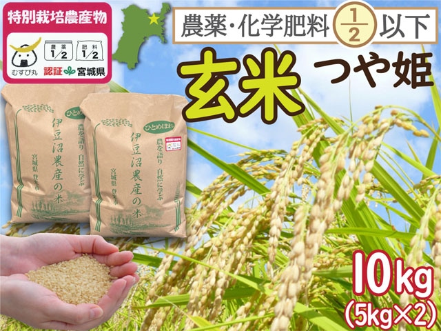 特別栽培米 つや姫 　玄米10kg（5kg×2）　宮城県登米市産 一等米  農薬・化学肥料節減【令和7年産】