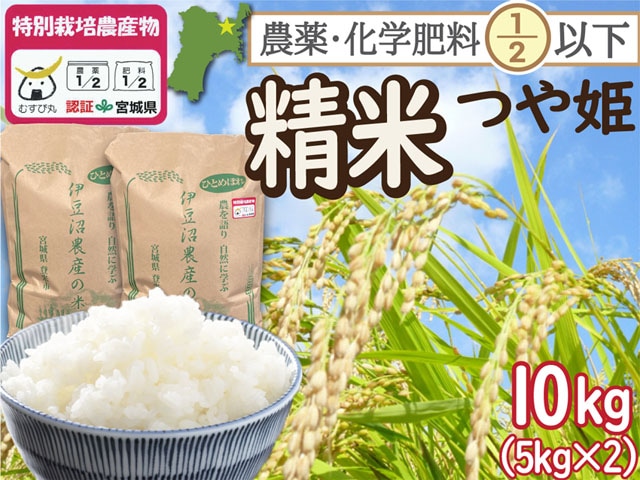 特別栽培米 つや姫 　白米10kg（5kg×2）　 　　　宮城県登米市産 一等米 精米  農薬・化学肥料節減【令和7年産】