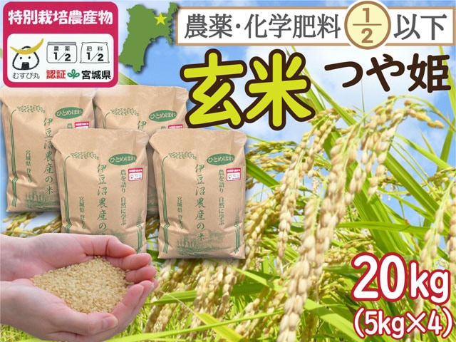 特別栽培米　つや姫 玄米20kg（5kg×4）　　　　宮城県登米市産 一等米  農薬・化学肥料節減　　　【令和7年産】