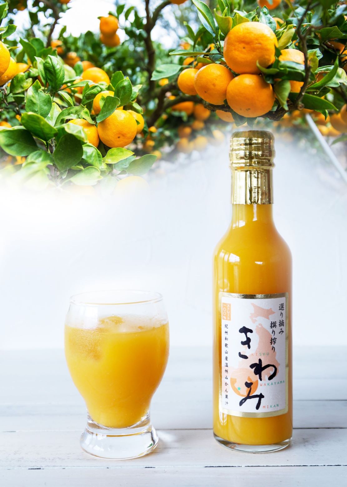 『きわみ』温州みかん100%ストレートジュース　200ml　7本入りギフトセット