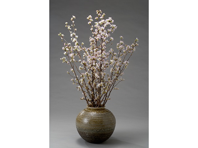 【～2025年12/22までの期間限定】冬の桜　啓翁桜　8本　【発送日12月26日～29日(予定)】