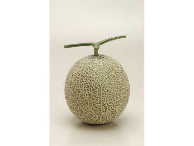 【～2026年9/30までの期間限定】茨城県産アールスメロン (2個入り)