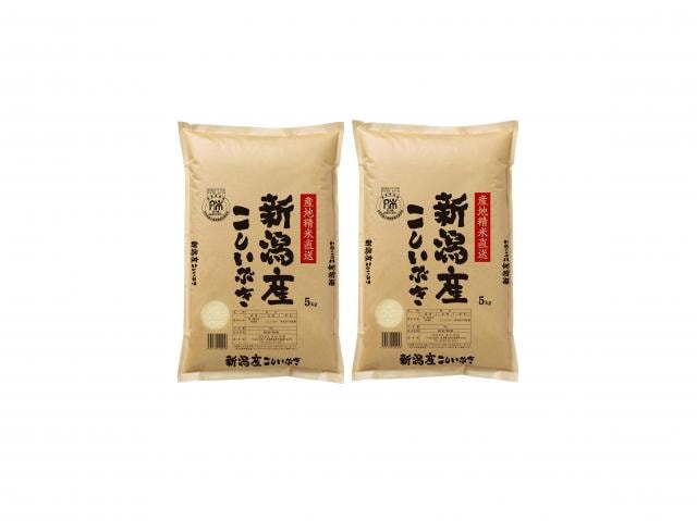 新潟県産こしいぶき　5kg×2袋