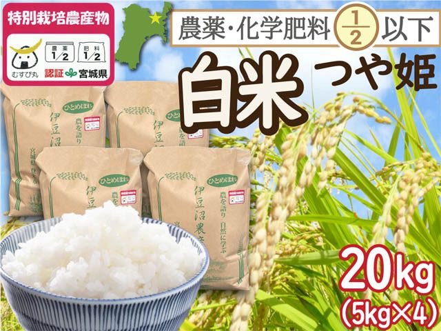 特別栽培米   つや姫 白米20kg（5kg×4）    令和8年産 一等米 宮城県登米市産 精米 農薬・化学肥料節減