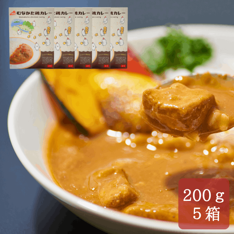 道の駅むなかた限定 宗像のブランド鶏「むなかた鶏」使用 むなかた鶏カレー 5個セット