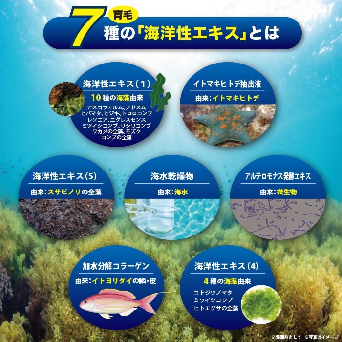 ޤ줿 Ӻ MARIMO ޥ⥹ 120ml 륳ե꡼ ̵ź 