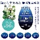 ޤ줿 Ӻ MARIMO ޥ⥹ 120ml 륳ե꡼ ̵ź 