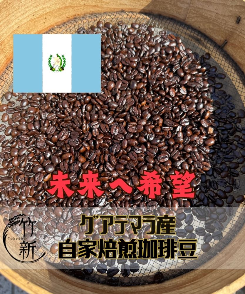 自家焙煎/珈琲/グアテマラ】コーヒー豆 (80g) | 価格別 | おかき屋辰心
