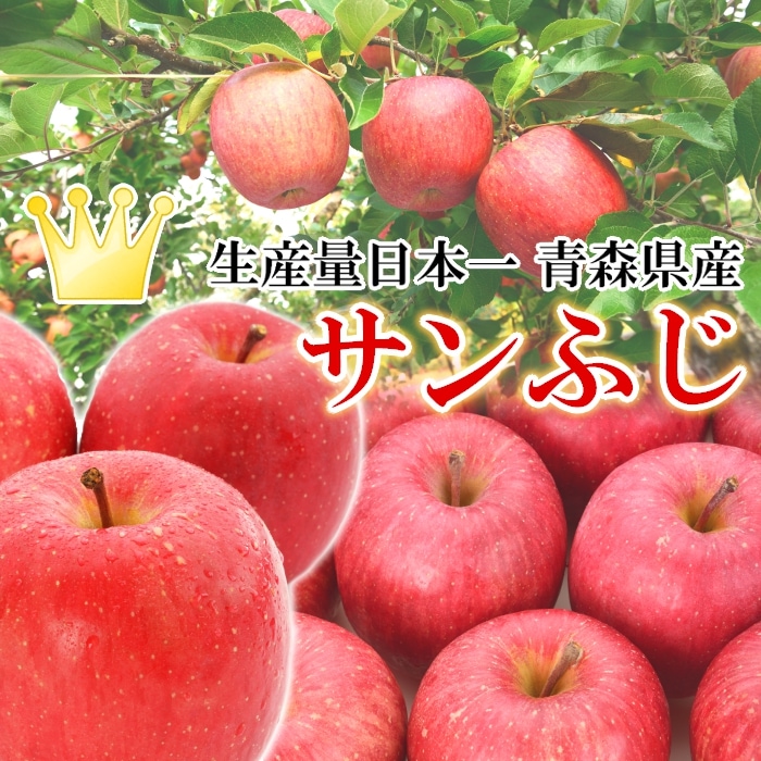 青森県産 りんご 贈答用「ありがとう」サンふじ 3kg | すべての商品