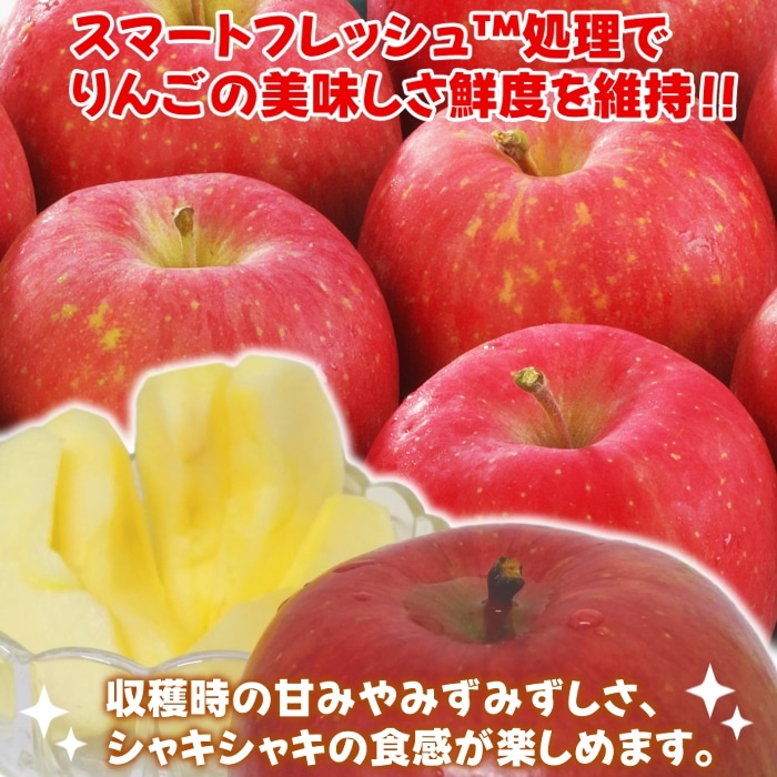ふぞろいの林檎たち〈初回限定生産スペシャルBOX仕様・5枚組〉 ふぞろいの林檎たち コレクターズボックス DVD 【公式通販】