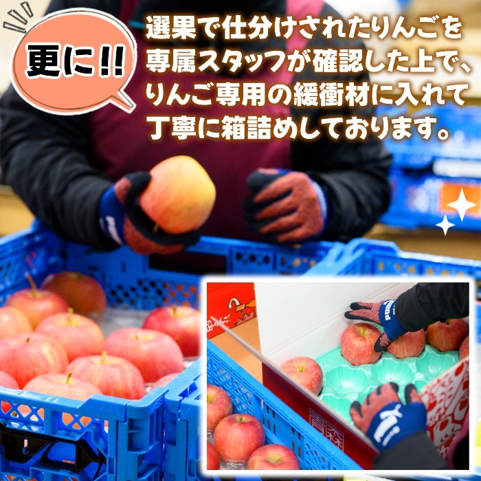 青森県産 りんご 贈答用「ありがとう」サンふじ 5kg | すべての商品