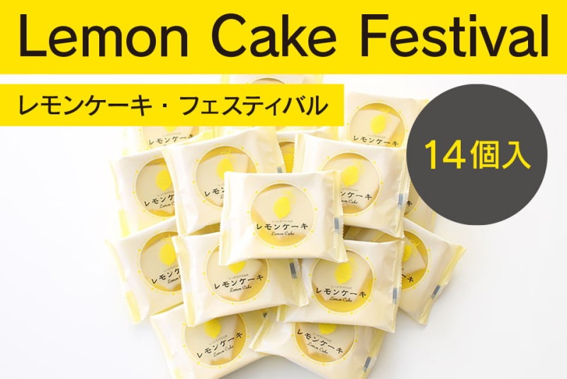 ���󥱡������ե�����14������