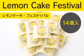 ���󥱡������ե�����14������